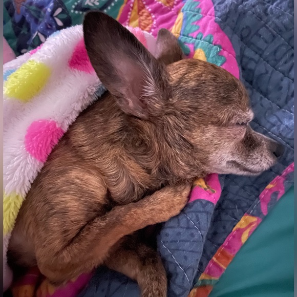 Meet your Posher, Heather - Picture 4 of 16